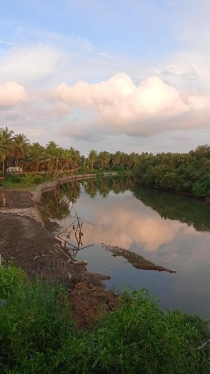 Shruthi'S Aarohi-Nature'S Retreat Homestay Kannur Exterior photo