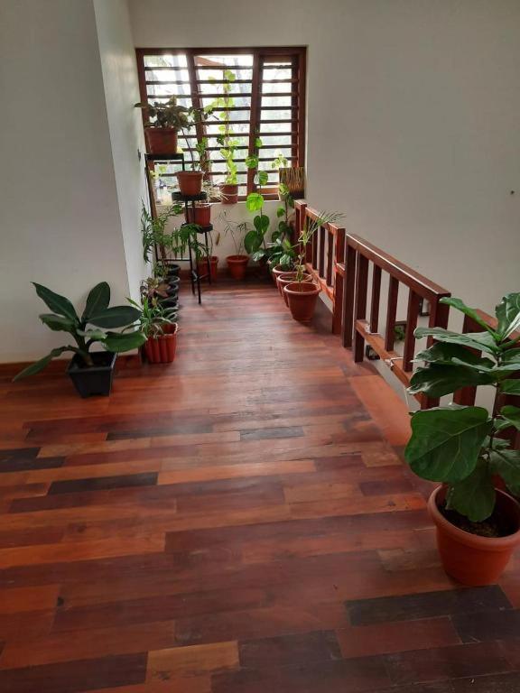 Shruthi'S Aarohi-Nature'S Retreat Homestay Kannur Exterior photo